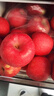静宁苹果 【顺丰到家】甘肃红富士苹果水果 新鲜应季静宁苹果 净重6斤大果80-90mm 实拍图