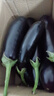 【京东快递】现摘现发新鲜绿把黑茄新鲜蔬菜生鲜 绿把茄子 2斤 净重 实拍图