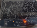 海尔（Haier）波轮洗衣机小型全自动8KG家用XQB80-Z10D0京东自营家电国家补贴以旧换新一级能效宿舍出租房单脱水 实拍图