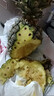 正宗海南金钻凤梨新鲜水果当季树上熟芒果凤梨【催熟食用】 单果1个净重1.3-1.7斤试吃特惠装 实拍图