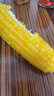 京鲜生 东北黄玉米净重3.6斤 8根*220g+ 真空包装加热即食 源头直发 实拍图
