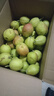 京鲜生 新疆库尔勒香梨 净重10斤 一级 单果100-120g 生鲜水果 实拍图