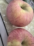 京鲜生 陕西洛川苹果红富士  净重5斤  单果200g+ 生鲜水果 实拍图