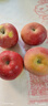 阿克苏苹果新疆阿克苏冰糖心苹果新鲜时令水果礼盒红富士丑苹果 10斤 一级果75-90mm净重8.5-9斤 实拍图