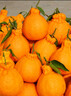 正宗四川不知火丑橘新鲜整箱水果应当季粑粑丑八怪柑橘耙耙桔子 精品果 【70-80mm】性价比 5斤 实拍图