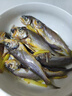 三都港 宁德海捕小黄鱼350g/包【约8-11只】新鲜冷冻海鲜生鲜烧烤食材鱼 海捕小黄鱼350g*3袋 实拍图