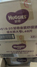 好奇（Huggies）金装拉拉裤L124片(9-14kg)尿不湿【速干不易红】 实拍图