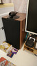 YTFY柏林之声德国进口音响YTFY Q1发烧hifi桌面音箱家用环绕高保真无源书架音响 【推荐搭配】高性价比hifi组合 实拍图