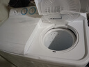 海尔（Haier）双桶洗衣机半自动 家用大件洗 10公斤大容量 省水电 以旧换新 双缸 原厂品质XPB100-81D2 实拍图