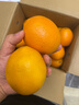 京鲜生 江西赣南脐橙 净重10斤 铂金果 单果180g起 生鲜水果橙子礼盒 实拍图