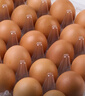 【无抗】大码鲜鸡蛋1.8kg 实拍图