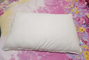 京东京造 A类五星级酒店枕 瑞士抗菌60支全棉贡缎面料枕头 48*74cm单只 实拍图