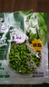 云山半低脂肪毛豆粒1斤 0添加新鲜毛豆仁 速冻锁鲜 半加工蔬菜 实拍图