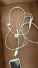 Apple/苹果 USB-C接口有线耳机 type-c接口有线耳机苹果耳机 苹果17有线耳机笔记本耳机游戏音乐 实拍图