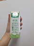 豆本豆 纯豆奶250ml*12盒4.0g植物蛋白无添加蔗糖饮料学生奶早餐奶整箱 实拍图