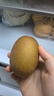 佳沛（zespri）新西兰 阳光金奇异果12粒礼盒特大果单果约122-146g 猕猴桃 水果 实拍图