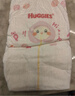 好奇（Huggies）铂金装小桃裤纸尿裤L120片(9-14kg)大号尿不湿【透爽散热】 实拍图