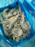 鲜京采 厄瓜多尔白虾 净重3斤/盒 特大号20-30规格   30-45只/盒 实拍图