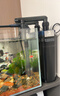 AMTRA TECHNIK德国安彩壁挂过滤器ex650鱼缸过滤器乌龟低水位净水静音 EX650 标准版【内含滤材】 实拍图
