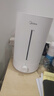 美的（Midea）空气加湿器家用卧室母婴幼儿鼻炎静音抗菌超大雾量取暖补水小型工业喷雾雾化器礼物国家补贴3VWL 实拍图