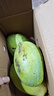 【双十一热卖】玉芒水果芒果新鲜上市 带箱2斤【单果300g+】 实拍图