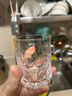 京东京造 威士忌酒杯 高端精酿北欧风扎啤杯啤酒杯套装 260ml 四只装 实拍图