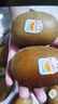 佳沛（zespri）新西兰 阳光金奇异果12粒礼盒特大果单果约122-146g 猕猴桃 水果 实拍图