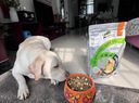 比瑞吉狗粮鸭肉梨升级瓜6冻干幼成老年小型犬小绿袋比熊去泪痕犬粮2kg 实拍图