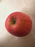 京鲜生 新疆阿克苏苹果 净重5斤装 果径85-90mm 新鲜水果 实拍图