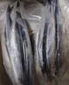 卖鱼七郎大号秋刀鱼2斤 新鲜海捕鲜活冷冻日料生鲜烧烤食材海鲜鱼类 实拍图