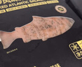 荷裕食品 烟熏三文鱼150g(莳萝风味) 方便菜即食大西洋鲑【1号店定制】 实拍图