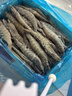鲜京采 开背去虾线海白虾3斤装 大号45-60只 实拍图