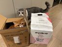 洁客 豆腐膨润土混合猫砂除臭结团懒人猫砂2.5kg*12袋共30kg 实拍图