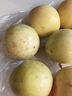 鲜青录广西黄金百香果钦蜜9号新鲜水果黄色白香果西番莲鸡蛋果 尝鲜净重1斤（单果40-60g） 实拍图
