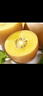 佳沛（zespri）新西兰  阳光金奇异果10粒礼盒巨大果单果约144-175g 水果 猕猴桃 实拍图