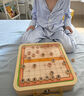 Toylezhi中国象棋磁性便携可折叠棋盘儿童教学益智玩具磁石圣诞节礼物中号 实拍图