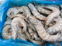 鲜京采 厄瓜多尔白虾 净重3斤/盒 特大号20-30规格   30-45只/盒 实拍图