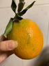 京鲜生 云南哀牢山冰糖橙/橙子 净重9斤 单果100-130g 生鲜水果礼盒 实拍图