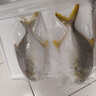 翔泰 海南金鲳鱼净重900g 2条装  鱼类生鲜 火锅食材 海鲜水产  实拍图