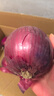 京鲜生 甘肃紫皮洋葱带皮 净重5斤 单果300g+ 新鲜蔬菜源头直发 实拍图