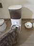 霍曼（Homerun）Real智能自动喂食器猫粮狗粮定时猫咪自动投食机（不锈钢碗） 实拍图