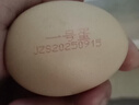 1号会员店可生食鸡蛋30枚净重3.6斤精选大码蛋礼盒装 源头直发 实拍图