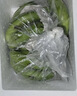 高山精品甜蕉现摘新鲜水果香蕉孕妇宝宝辅食搭配丫丫生鲜特产 1斤装【青蕉发货】 实拍图