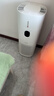 东芝（TOSHIBA）大白梨Pro空气净化器加湿器净化加湿一体机消杀甲流细菌病毒医护级去甲醛除尘除过敏源家用净化器 大白梨净化加湿杀菌除甲醛一体机 实拍图