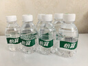 怡宝饮用纯净水210ml*24瓶 口袋水 整箱装 实拍图