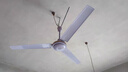 钻石牌（DIAMOND）吊扇电风扇家用客厅1.4米56吋楼顶扇工业大风力吸顶电风扇 56寸加强版（铜线电机） 实拍图