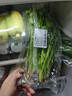 带根香菜100g 实拍图