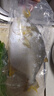 环球水产南海大金鲳鱼550g1条 BAP认证 海鱼水产 生鲜鱼类 火锅 烧烤海鲜 实拍图