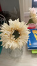 把束拉丝菊 简约现代陶瓷花瓶摆件 插花干花花束会议桌装饰高端 奶油黄/1枝 实拍图
