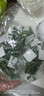 花沃里绿萝固定器中号30个 绿植免钉贴墙自粘式挂钩藤蔓植物攀爬夹子 实拍图
